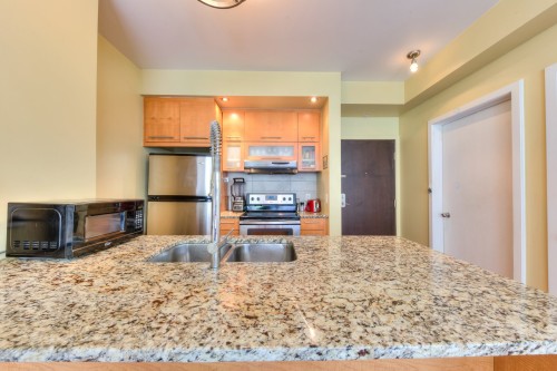 Cuisine - 406-150 Rue Sherbrooke E., Montréal (Ville-Marie), QC - Indoor Photo Showing Kitchen With Double Sink