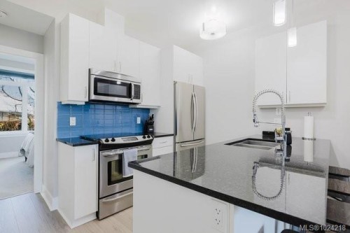 201-606 Speed Ave, Victoria, BC - Indoor Photo Showing Kitchen With Stainless Steel Kitchen With Double Sink With Upgraded Kitchen