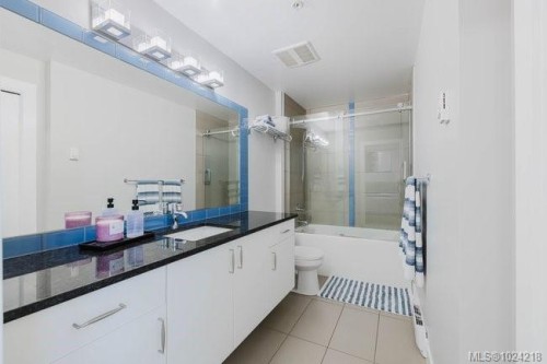 201-606 Speed Ave, Victoria, BC - Indoor Photo Showing Bathroom