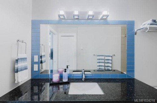 201-606 Speed Ave, Victoria, BC - Indoor Photo Showing Other Room