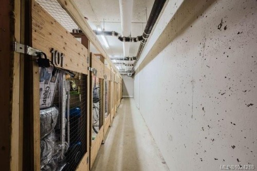 201-606 Speed Ave, Victoria, BC - Indoor Photo Showing Other Room