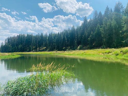 22-6324 Laurier Avenue, Wardner, BC - Outdoor With Body Of Water With View