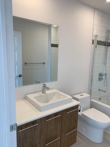 Salle de bains - 602-50 Rue D'Ambre, Candiac, QC - Indoor Photo Showing Bathroom