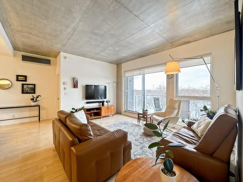 Salon - 508-9200 Rue Hochelaga, Montréal (Mercier/Hochelaga-Maisonneuve), QC - Indoor Photo Showing Living Room