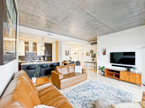 Salon - 508-9200 Rue Hochelaga, Montréal (Mercier/Hochelaga-Maisonneuve), QC - Indoor Photo Showing Living Room
