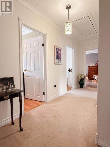 170A Main Street, Carmanville, NL - Indoor Photo Showing Other Room