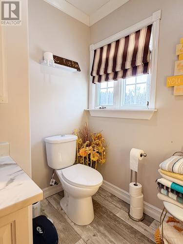 170A Main Street, Carmanville, NL - Indoor Photo Showing Bathroom