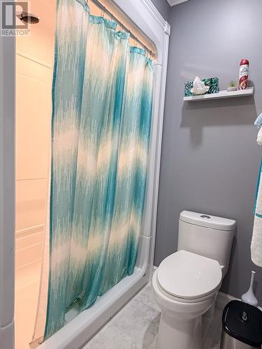 170A Main Street, Carmanville, NL - Indoor Photo Showing Bathroom