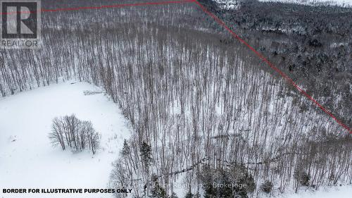 Lt 34 Con 23 Concession 24, Georgian Bluffs, ON 