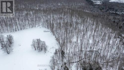 Lt 34 Con 23 Concession 24, Georgian Bluffs, ON 