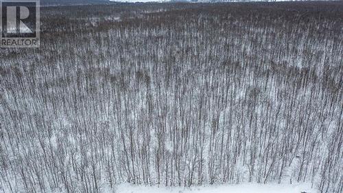 Lt 34 Con 23 Concession 24, Georgian Bluffs, ON 