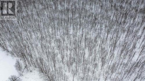 Lt 34 Con 23 Concession 24, Georgian Bluffs, ON 