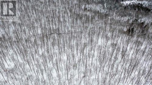 Lt 34 Con 23 Concession 24, Georgian Bluffs, ON 