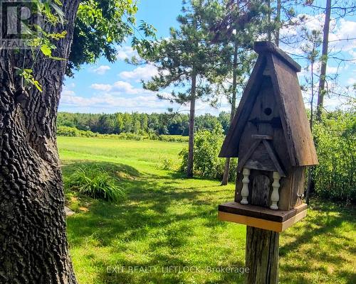 4922 Highway 7, Kawartha Lakes (Omemee), ON - Outdoor With View