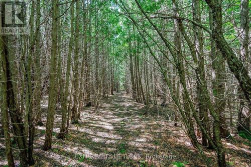 4922 Highway 7, Kawartha Lakes (Omemee), ON 