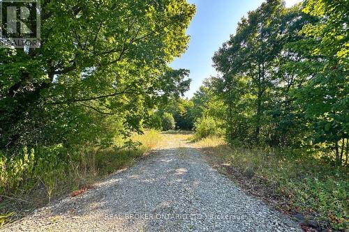 14391 County 15 Road, Merrickville-Wolford, ON 