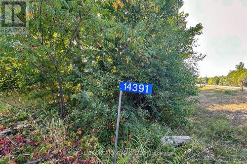 14391 County 15 Road, Merrickville-Wolford, ON 