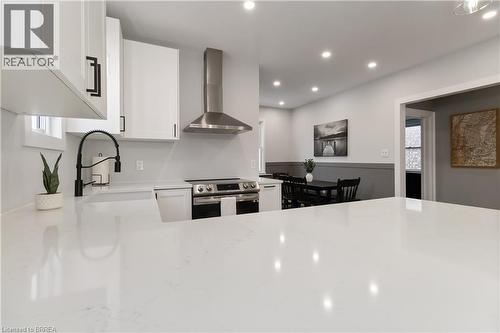 288 Marlborough Street, Brantford, ON - Indoor Photo Showing Kitchen With Upgraded Kitchen