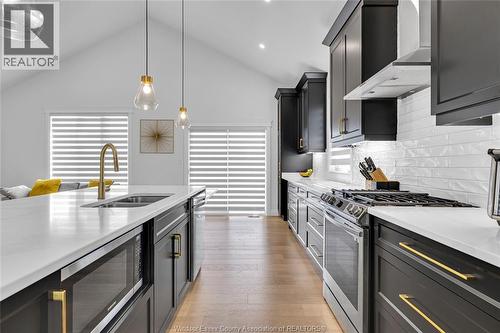 385 Matese Street, Lakeshore, ON - Indoor Photo Showing Kitchen With Double Sink With Upgraded Kitchen