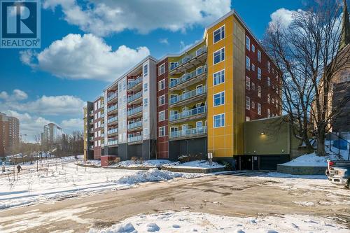 202 5221 Nora Bernard Street  Halifax, NS B3K 0B6