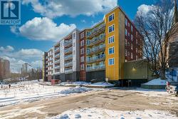 202 5221 Nora Bernard Street  Halifax, NS B3K 0B6