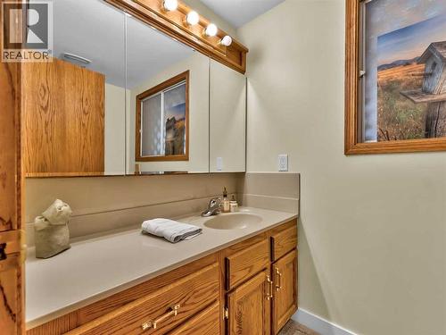 35 Horner Court Ne, Medicine Hat, AB - Indoor Photo Showing Bathroom