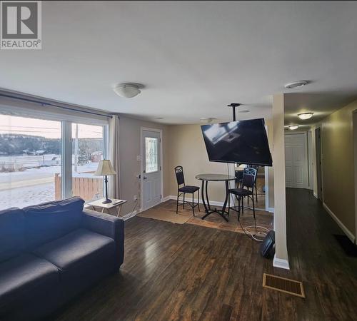78 Back Track Road, Spaniards Bay, NL - Indoor Photo Showing Living Room