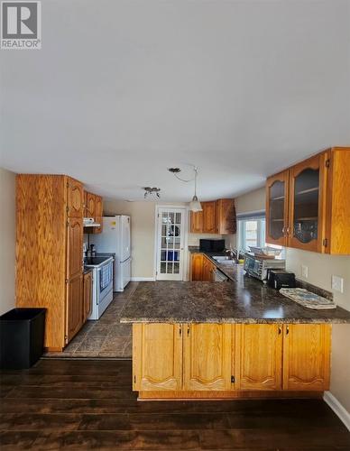 78 Back Track Road, Spaniards Bay, NL - Indoor Photo Showing Kitchen With Double Sink