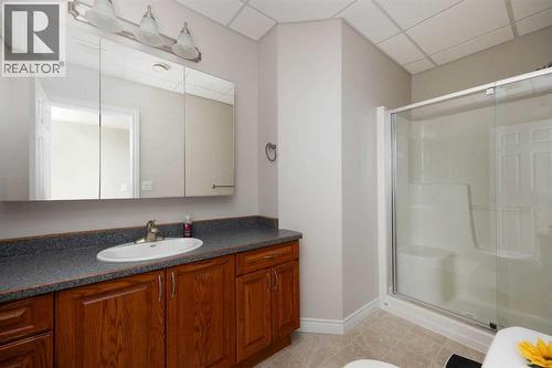 Basement bathroom - 237 Trillium Road, Fort Mcmurray, AB - Indoor Photo Showing Bathroom