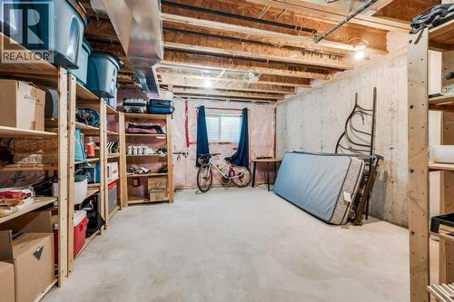 731, 101 Sunset Drive, Cochrane, AB - Indoor Photo Showing Basement