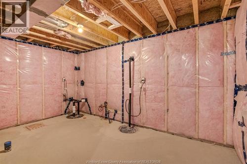 49 Belleview Drive, Kingsville, ON - Indoor Photo Showing Basement