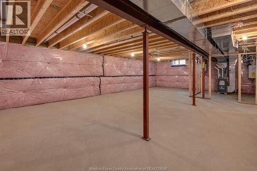 49 Belleview Drive, Kingsville, ON - Indoor Photo Showing Basement
