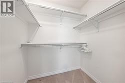 Walk in closet with light carpet - 