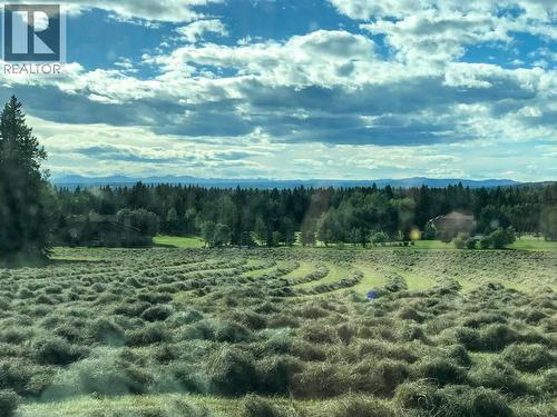 Range Road 52, Rural Mountain View County, AB 