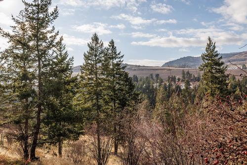 2575 Pineridge Place, West Kelowna, BC - Outdoor With View