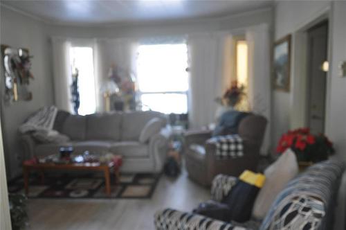 322 South Chestnut Street, Shoal Lake, MB - Indoor Photo Showing Living Room