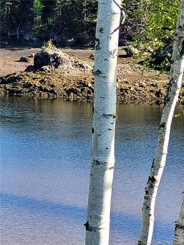 1113 Mascarene Rd, Caithness, NB 