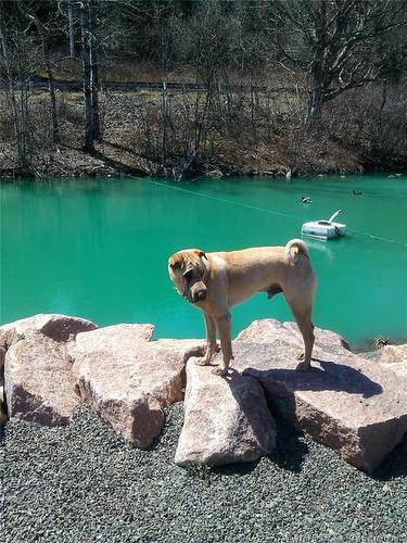 1113 Mascarene Rd, Caithness, NB 