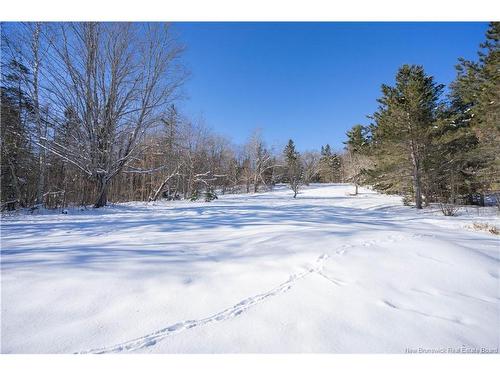 1548 Route 870, Belleisle Creek, NB 