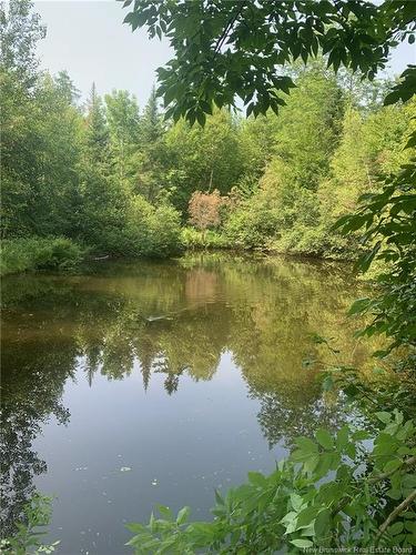 1548 Route 870, Belleisle Creek, NB 