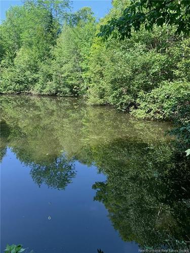 1548 Route 870, Belleisle Creek, NB 