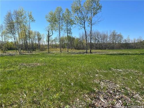 Lots Mooney Creek, Richibucto, NB 