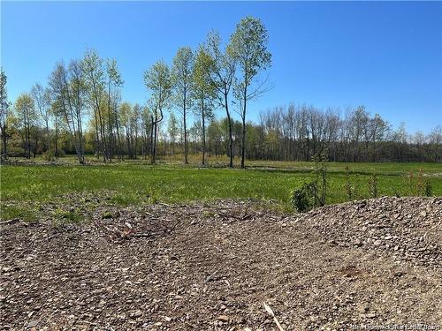 Lots Mooney Creek, Richibucto, NB 