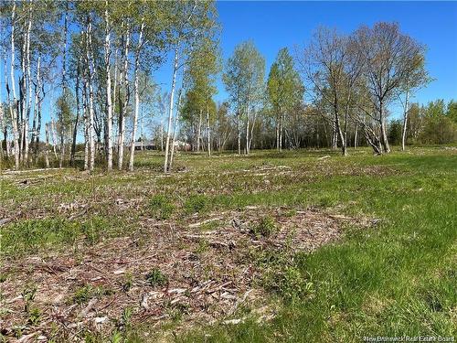 Lots Mooney Creek, Richibucto, NB 