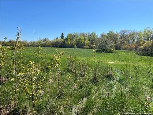 Lots Mooney Creek, Richibucto, NB 