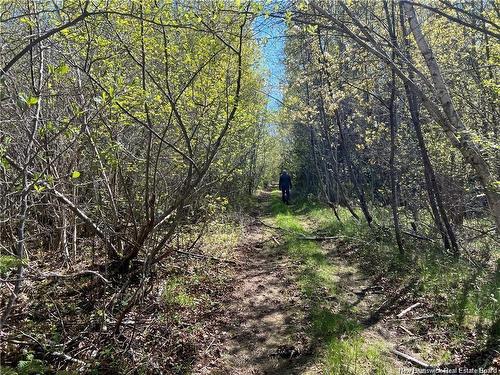 Lots Mooney Creek, Richibucto, NB 