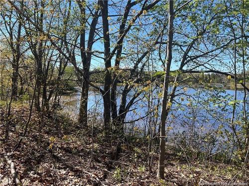 Lots Mooney Creek, Richibucto, NB 