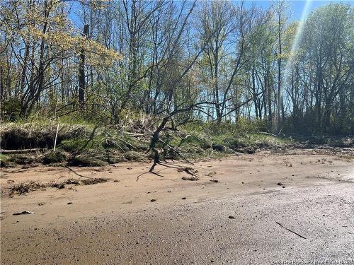 Lots Mooney Creek, Richibucto, NB 