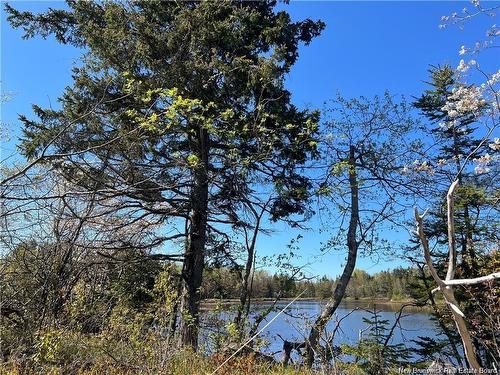 Lots Mooney Creek, Richibucto, NB 