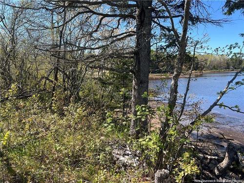 Lots Mooney Creek, Richibucto, NB 